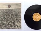 CRASS FEEDING OF THE FIVE THOUSAND RARE 12