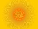 Ryan Adams - Easy Tiger (Vinyl LP / Album) (New)