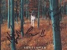 SUNFLOWER BEAN I HEAR VOICES 7