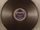 PRE WAR JAZZ 78 Bix Beiderbecke Sioux City Six  Flock O' Blues Gennett 5569 E-