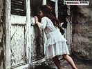 Violent Femmes S/T LP 180g Vinyl RI NEW