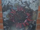 PROTEST THE HERO - Kezia, Limited Import 180 Gram RED/BLACK SMOKE VINYL New