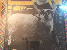 SEALED Paul And Linda McCartney- RAM Rock LP Aria