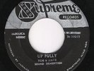 ? SUPREME Cedric Brooks - Up Fully/ Winston Francis - Groovy Situation