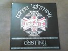 WHITE LIGHTNING LP ROR REBELLES ISD OI SKINHEAD BOHSE ONKELZ