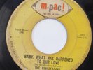 THE RINGLEADERS-BABY WHAT HAS HAPPENED TO OUR LOVE /LET'S START OVER-NORTHERN 45