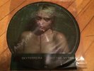 Sky Ferreira Night Time My Time Picture Disc Vinyl LP RSD 2014 Record Store Day