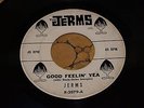 The Jerms, Bald Headed Woman/Good Feelin' Yea,  2079  Topeka Kansas group. VG+