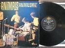 RARISSIME THE ANIMALS, 