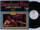 LARRY CORYELL Barefoot Boy FLYING DUTCHMAN LP NM wlp gatefold