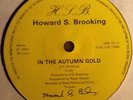 HOWARD S BROOKING - In The Autumn Gold. UK Minimal Synth 45' Rare Private Press