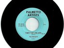 THE INSIGHTS “I Need Your Loneliness/It's Alright” Northern Soul On Palmetto Rec