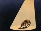 RINO GAETANO - 1' STAMPA DEL 1976 -  VINILE 12