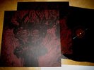 SVARTIDAUDI Synthesis.. LP Mgla Urfaust One Tail One Head Watain MARE Dodsengel