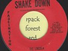 THE LINCOLN TRIO - Shake Down  - FASCINATION  - Detroit Soul   7