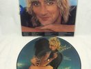 Rod Stewart Blondes Have More Fun 1978 Picture Disc Vinyl Record 12