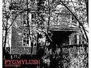 New Music Pygmy Lush 