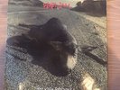 Pearl Jam Who Killed Rudolph (Sonic Reducer) 45 Fan Club 7