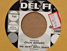 Rockabilly 45-Chan Romero-The Hippy Hippy Shake-Del Fi-PROMO-Nice
