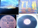 BLUE ORCHIDS-THE GREATEST HIT LP 1981 ex-FALL GREECE  NM