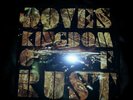 Doves - Kingdom Of Rust - New  Vinyl LP Album