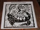 Widespread Panic - S/T 2 LP NEW SEALED