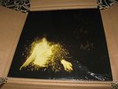 WOLF ALICE - MY LOVE IS COOL UK 2 LP BLACK VINYL - NEW - SIGNED