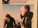 Limited Edition Pink Vinyl LP In a Priest Driven Ambulence by The Flaming Lips