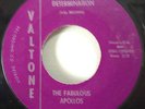 Northern Soul The Fabulous Apollos 1960's Determination 45 Valtone 101 Rare EX