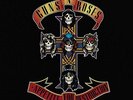 GUNS N ROSES**APPETITE FOR DESTRUCTION**LP