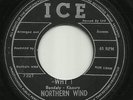 Northern Wind Mega RARE 45 Why LSN? Monster Lebanon Freakbeat Psych Sunshine