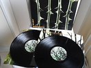 TYPE O NEGATIVE original Vinyl 2LP October Rust (1996)
