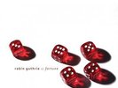 Fortune - Robin Guthrie (2013, Vinyl NUOVO)