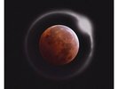 Ouroboros LP Ray LaMontagne (Vinyl, produced by Jim James of My Morning Jacket)