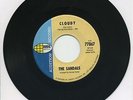 THE SANDALS   Cloudy/House Of Painted Glass   psych/surf promo   WORLD PACIFIC