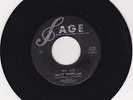 BLUE GRASS 45 RPM - DAVE WOOLUM ON SAFE RECORDS
