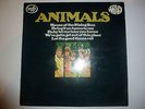 Animals ?– 'The Most Of' 160g 12