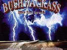 Bushwackass - How Real Israel? '94 LP US ORG Big Squig King Born Allah