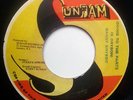 BARRY BRYSON my baby DISCO FUNK REGGAE DUB 45 Sunjam Records - hear MP3