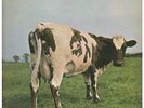 PINK FLOYD Atom Heart Mother LP 5 Track Gatefold Sleeve With Emi Boxed Label Des