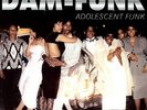 Dâm-Funk, Dam Funk - Adolescent Funk [New Vinyl]