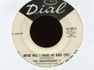 THE MAGNIFICENT 7 Never Will I on Dial Promo Northern Soul 45 Hear