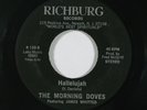 Gospel Soul 45 MORNING DOVES Hallelujah on Richburg