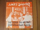 ANGRY SAMOANS Return To Samoa BLUE VINYL ORIG 1990 UK ISSUE HARDCORE PUNK