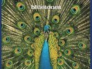 THE BLUETONES-EXPECTING TO FLY (LIMITED ED.HEAVYWEIGHT LP+MP3)-VINYL LP CHE NEW