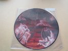 Immolation Picture Disc Dawn of Possession Morbid Angel Gorguts Deicide Vader