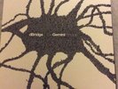 D Bridge- The Gemini Principle Lp