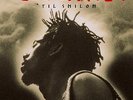 Buju Banton - Til Shiloh (Lim.Gold/Black Version Vinyl LP Music On Vinyl NEW