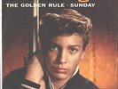 SCOTT ENGEL--PICTURE SLEEVE + 45---(GOLDEN RULE)--PS--PIC--SLV