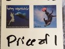 Heavy Vegetable - Adventures Of Aqua Kitty & Frisbie 2xLP Vinyl Rob Crow Pinback